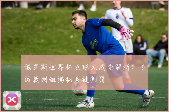 俄罗斯世界杯点球大战全解析：专访裁判组揭秘关键判罚