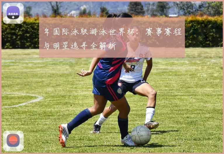 年国际泳联游泳世界杯：赛事赛程与明星选手全解析