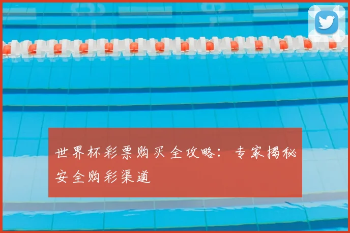 世界杯彩票购买全攻略：专家揭秘安全购彩渠道