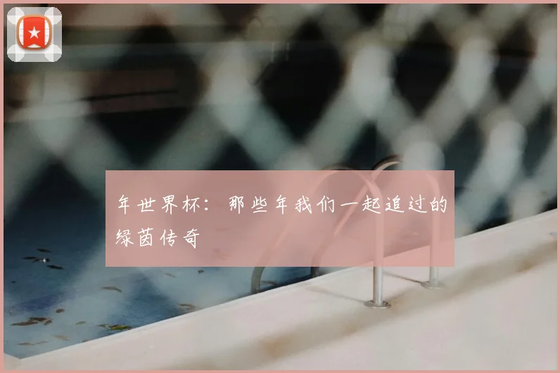 年世界杯：那些年我们一起追过的绿茵传奇