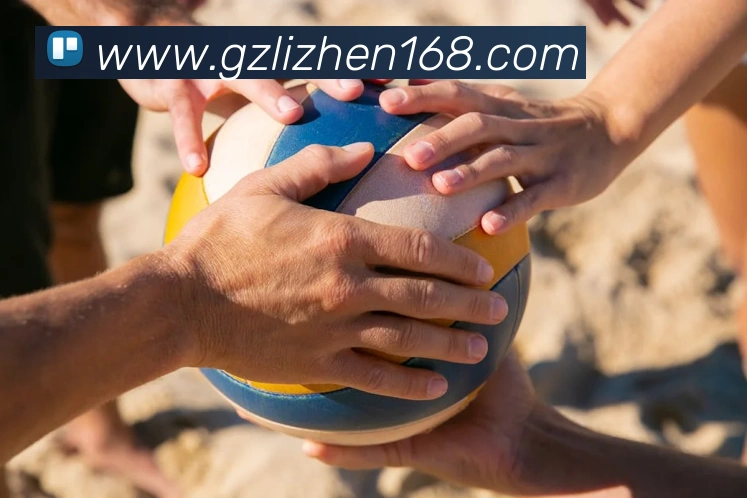 App Interface Preview